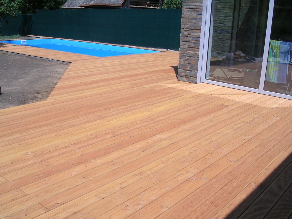 DSCN8733.JPG DSCN8733.JPG