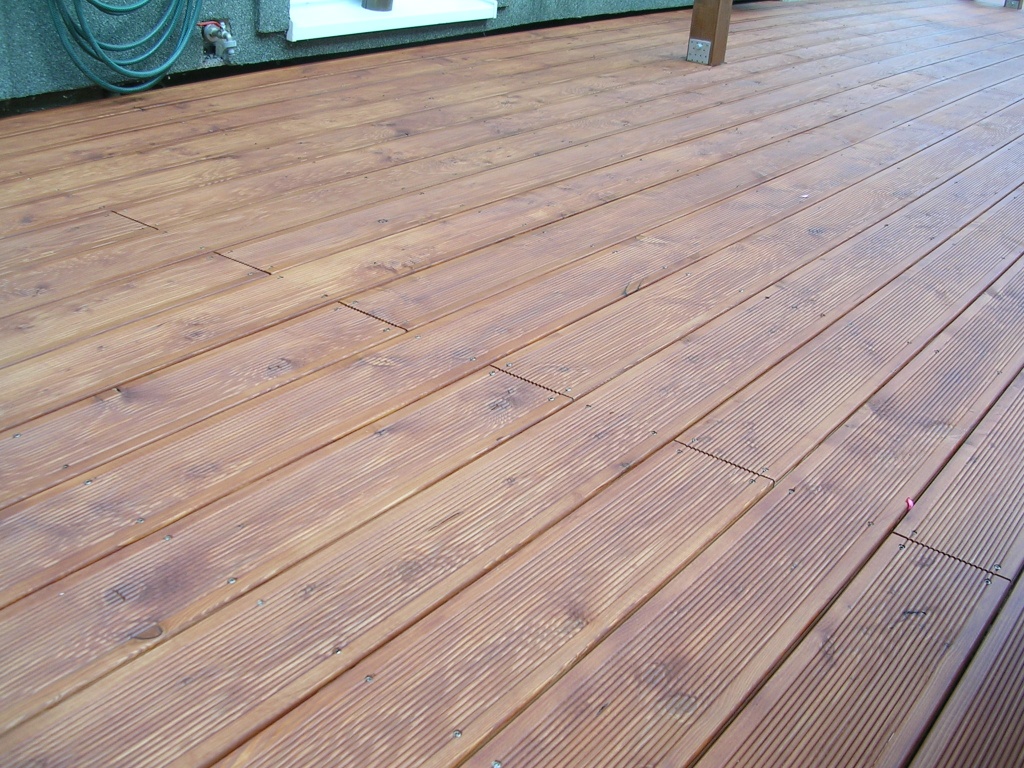 DSCN8778.JPG DSCN8778.JPG